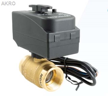 SALUS Zestaw PRZECIWZALANIOWY