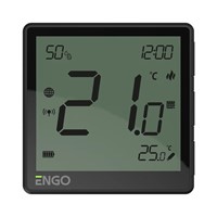 Engo Controls EONE230B Internetowy reg. temp.